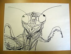 カマキリ（年長）