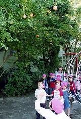「先生、これなあに？」　子どもの気付きがもたらすもの